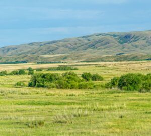 公地放領重啟 立委提醒考量地方特殊性從寬認定