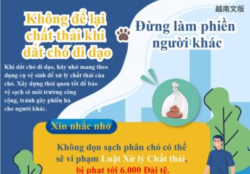 Không để lại chất thải khi dắt chó đi dạo