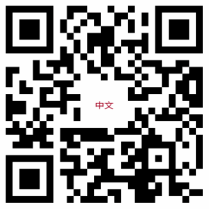 中文