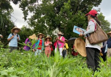 體驗高原有「艾」 桃竹苗分署邀您共度端午佳節