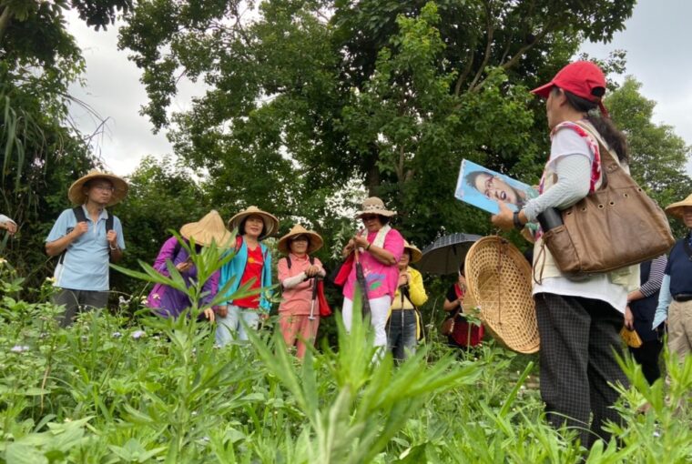 體驗高原有「艾」 桃竹苗分署邀您共度端午佳節