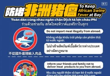 今年已有移工帶豬肉品禁入國 移民署：收件也罰。圖／移民署