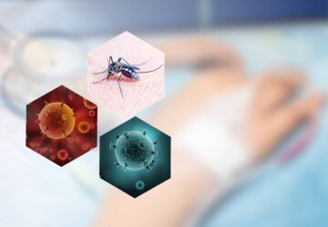 移工返鄉落實防蚊 避免登革熱境外移入
