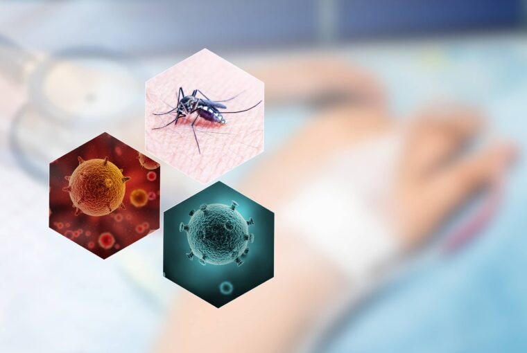 登革熱疫情升溫 越南等16國入列入境者配合採檢 高雄市祭獎勵方案