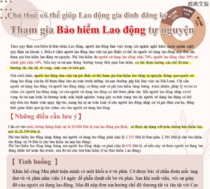 Chủ thuê có thể giúp Lao động gia đình đăng ký Tham gia Bảo hiểm Lao động tự nguyện