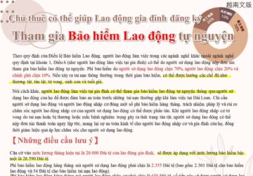 Chủ thuê có thể giúp Lao động gia đình đăng ký Tham gia Bảo hiểm Lao động tự nguyện