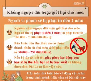 Không ngược đãi hoặc giết hại chó mèo. Người vi phạm sẽ bị phạt tù đến 2 năm