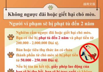 Không ngược đãi hoặc giết hại chó mèo. Người vi phạm sẽ bị phạt tù đến 2 năm