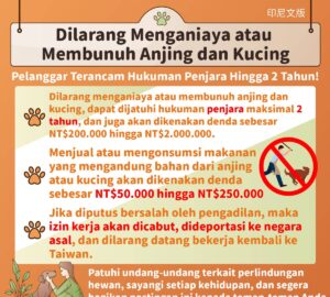 Dilarang Menganiaya atau Membunuh Anjing dan Kucing
