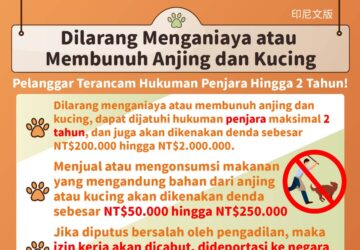 Dilarang Menganiaya atau Membunuh Anjing dan Kucing