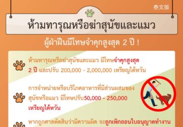 ห้ามทารุณหรือฆ่าสุนัขและแมว