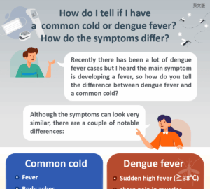 How do I tell if I havea common cold or dengue fever? How do the symptoms differ?
