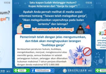 Satu Isapan Sudah Melanggar Hukum? Kupas Kebenaran dari “Ganja itu Legal”!