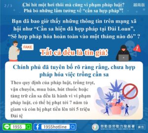 Chỉ hít một hơi thôi mà cũng vi phạm pháp luật? Phá bỏ những lầm tưởng về “cần sa hợp pháp”!