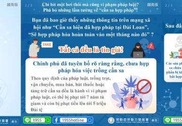 Chỉ hít một hơi thôi mà cũng vi phạm pháp luật? Phá bỏ những lầm tưởng về “cần sa hợp pháp”!