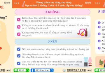 Phòng tránh say nắng, say nóng Bạn có biết 3 không, 3 nên và 5 bước cấp cứu không?