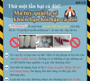 Thử một lần hại cả đời! Ma túy quái lạ sẽ khiến bạn hối hận cả đời