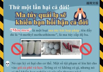 Thử một lần hại cả đời! Ma túy quái lạ sẽ khiến bạn hối hận cả đời