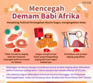 Mencegah Demam Babi Afrika