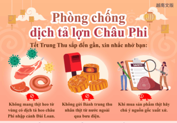 Phòng chống dịch tả lợn Châu Phi
