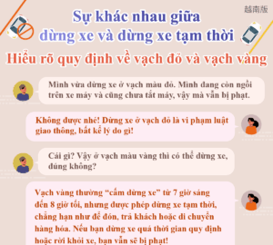 Sự khác nhau giữa dừng xe và dừng xe tạm thời Hiểu rõ quy định về vạch đỏ và vạch vàng