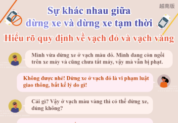 Sự khác nhau giữa dừng xe và dừng xe tạm thời Hiểu rõ quy định về vạch đỏ và vạch vàng