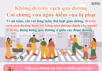 Không đi trên vạch qua đường Coi chừng vừa nguy hiểm vừa bị phạt
