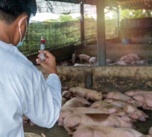 食藥署嚴格把關市售豬肉製品 違規使用非法豬肉可開罰