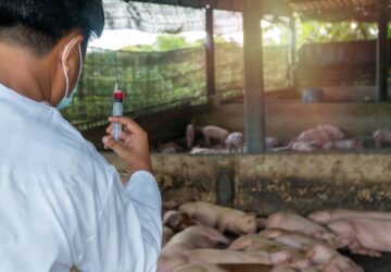 食藥署嚴格把關市售豬肉製品 違規使用非法豬肉可開罰