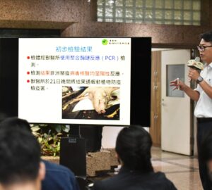 驚爆疑似非洲豬瘟 農業部即刻因應