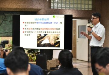 驚爆疑似非洲豬瘟 農業部即刻因應