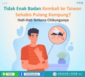 Tidak Enak Badan Kembali ke Taiwan Sehabis Pulang Kampung? Hati-Hati Terkena Chikungunya
