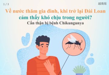 Về nước thăm gia đình, khi trở lại Đài Loan cảm thấy khó chịu trong người? Cẩn thận bị bệnh Chikungunya