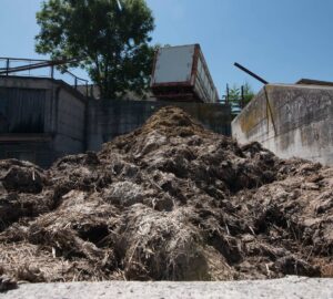 堆肥場雇主資格認定效期 延長至120天