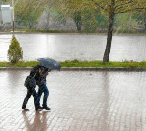 วันหยุดไต้ฝุ่นฟีนิกซ์: ลูกจ้างยังมีสิทธิได้รับเงินเดือนหรือไม่? นายจ้างบังคับให้ทำงานได้ไหม?. photo/Unsplash