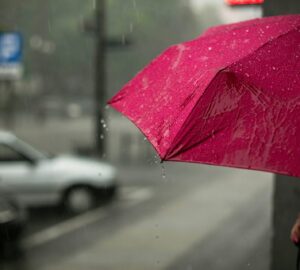 外交部東部辦事處11/11停班 民眾有緊急需求可洽其餘辦公室。圖／Unsplash