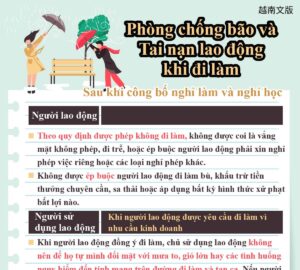 Phòng chống bão và Tai nạn lao động khi đi làm