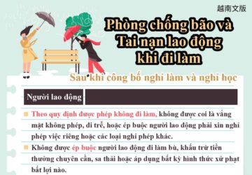 Phòng chống bão và Tai nạn lao động khi đi làm