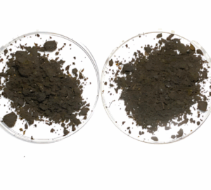 不同腐熟度的雞糞肥樣品，樣品越往右腐熟天數越久，其質地越鬆散，顏色呈現棕褐色