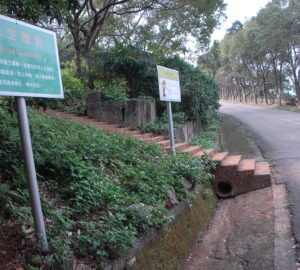 排水溝清理(L型側溝)利於排水，及植生護坡