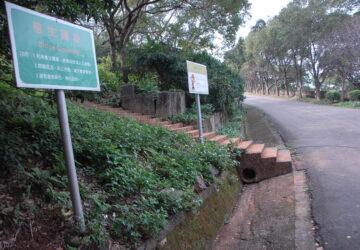 排水溝清理(L型側溝)利於排水，及植生護坡