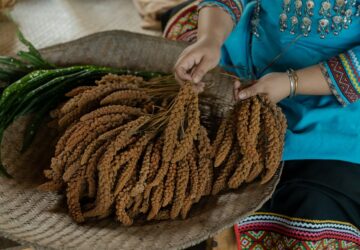 餐桌上的部落旅行 崁頂部落「月光下小米鞦韆餐桌》」11/8登場。圖／觀光署