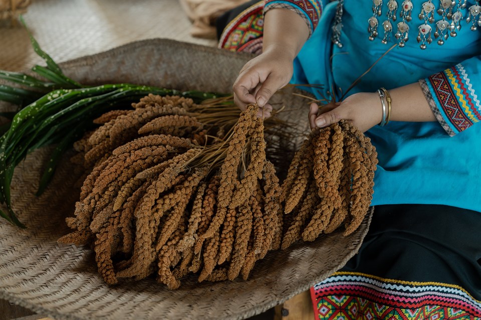 餐桌上的部落旅行 崁頂部落「月光下小米鞦韆餐桌》」11/8登場。圖/觀光署