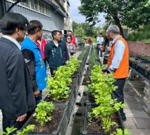 雙湖社區活化原台鐵圍籬荒地，營造兼具農業及療育的不彎腰菜園