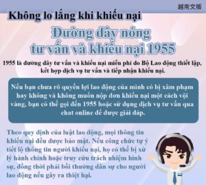 Không lo lắng khi khiếu nại Đường dây nóng tư vấn và khiếu nại 1955