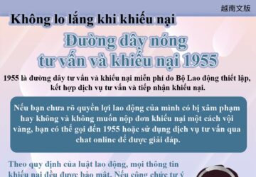 Không lo lắng khi khiếu nại Đường dây nóng tư vấn và khiếu nại 1955