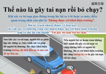 Thế nào là gây tai nạn rồi bỏ chạy?