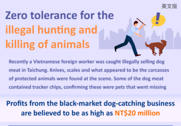 Zero tolerance for the illegal hunting and killing of animals
