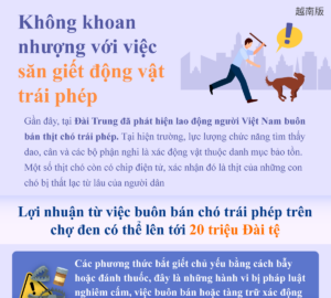 Không khoan nhượng với việc săn giết động vật trái phép
