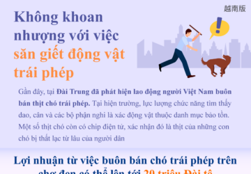 Không khoan nhượng với việc săn giết động vật trái phép